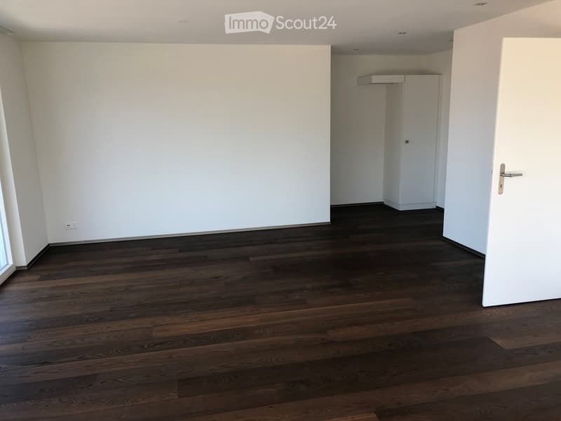 Empty room, hardwood floors, white walls, a cabinet, window