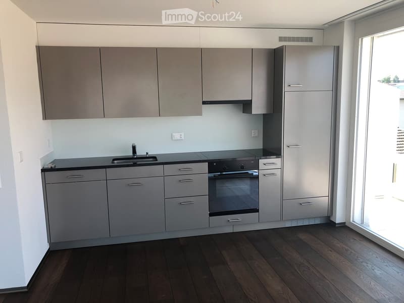 modern kitchen with gray cabinets, black countertops, stainless steel sink, black oven, sliding door, power outlets, wooden floor