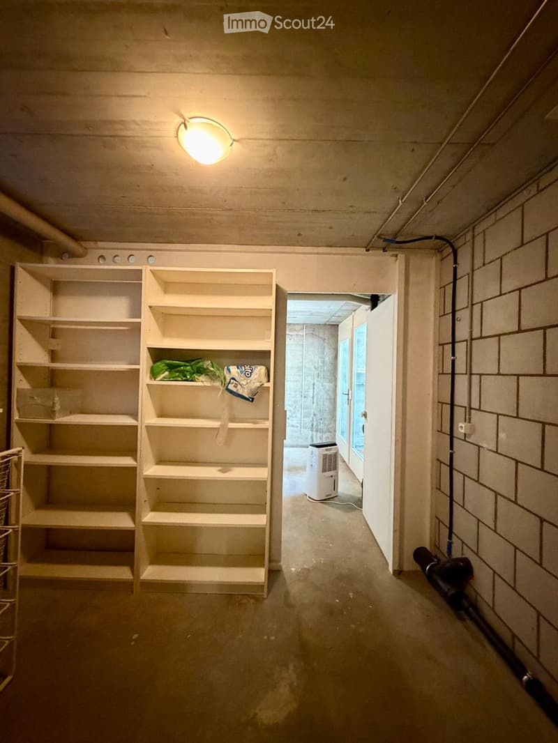 Empty hallway with white shelving units on the left, a small room visible at the end with a white air conditioner, and a light fixture on the ceiling.