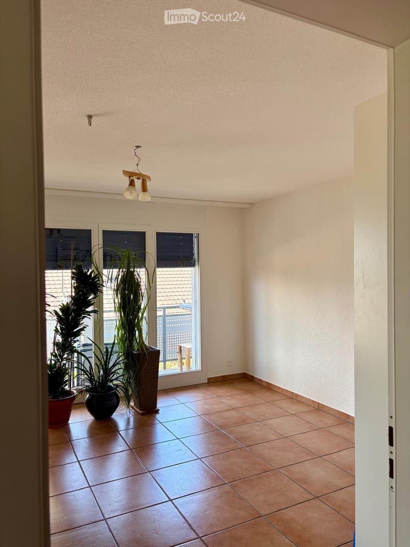 Empty room with tiled floor, white walls, and three large potted plants near the window. The room has a hanging light fixture and a door visible on the right side.
