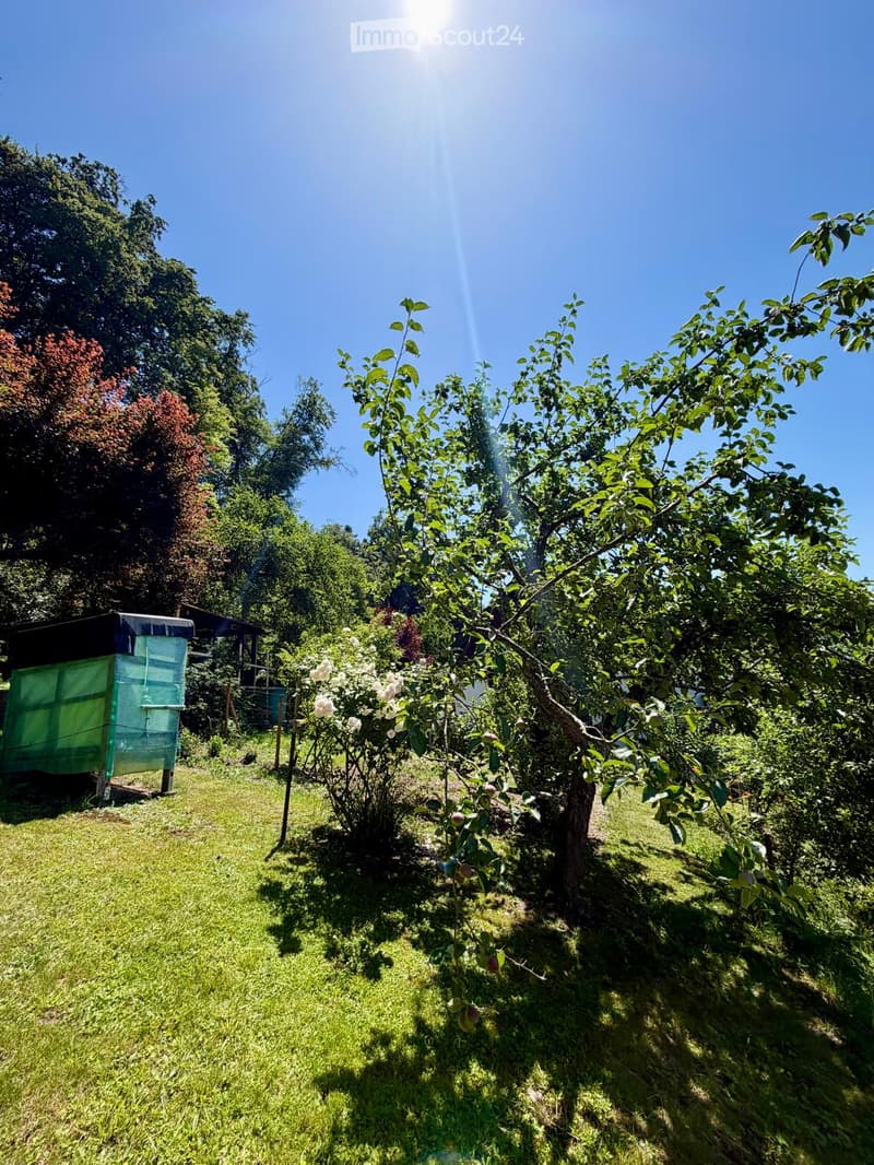 A sunny garden with fruit trees, flowering bushes, and a beehive, surrounded by lush greenery and a clear blue sky.