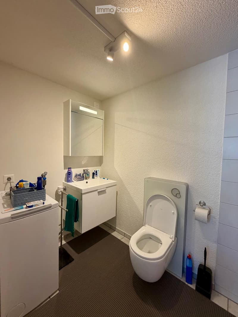 Modern bathroom with a white sink, mirror, toilet, towel, and cleaning supplies. The room features a slanted ceiling and built-in storage.