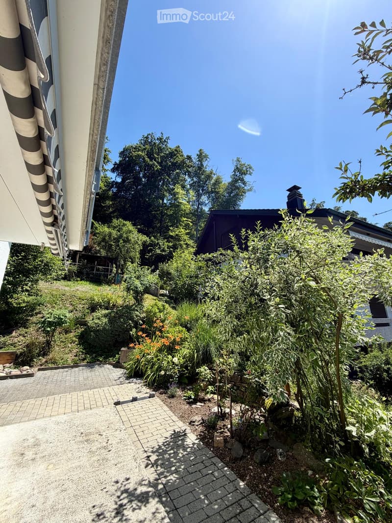 A well-maintained garden with a paved pathway, various plants, shrubs, and trees, with a house partially visible on the left side.