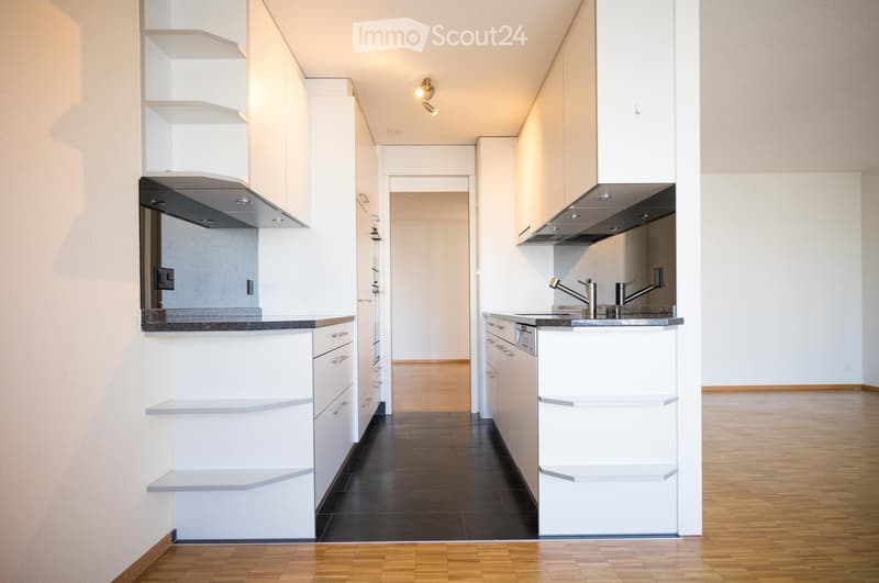modern kitchen with white cabinets, black tiled floor, stainless steel sink, dishwasher, ceiling light