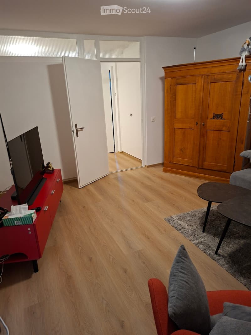 Living room with wooden flooring, a red TV stand, a grey sofa with pillows, a small round coffee table, and a cabinet with a cat peeking from behind it.