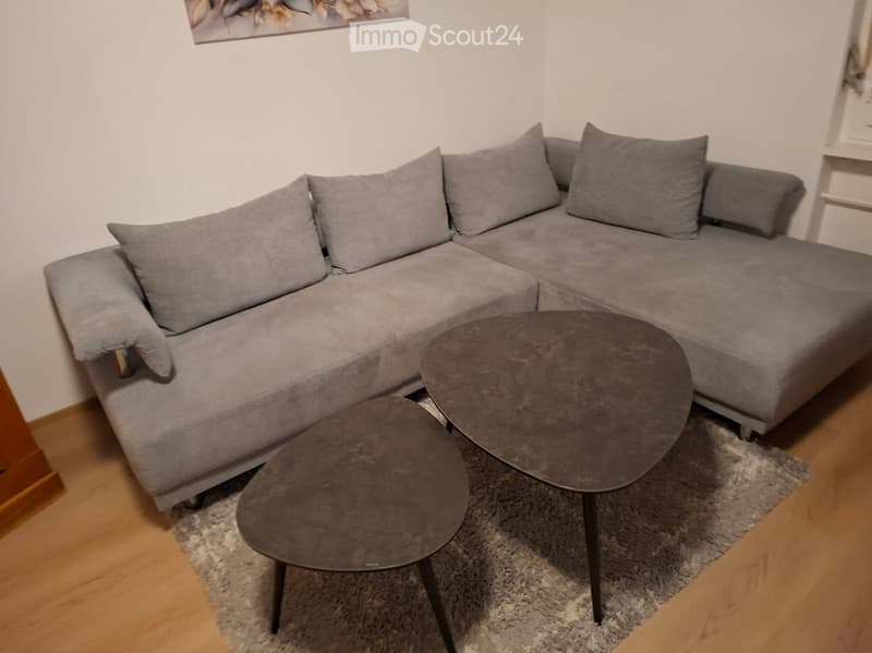 Modern living room with a grey sectional sofa, multiple grey throw pillows, a round coffee table, and a smaller round table on a grey rug.