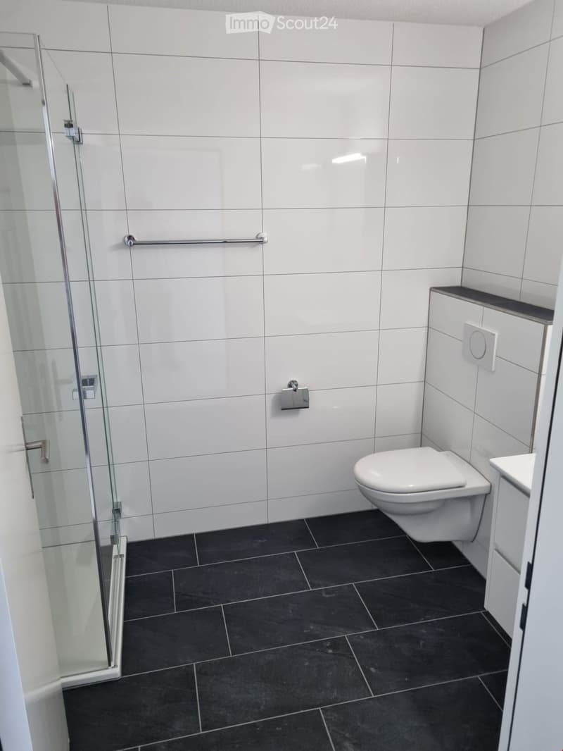 Modern bathroom with white tiled walls, black tiled floor, toilet, shower enclosure, and white cabinet.