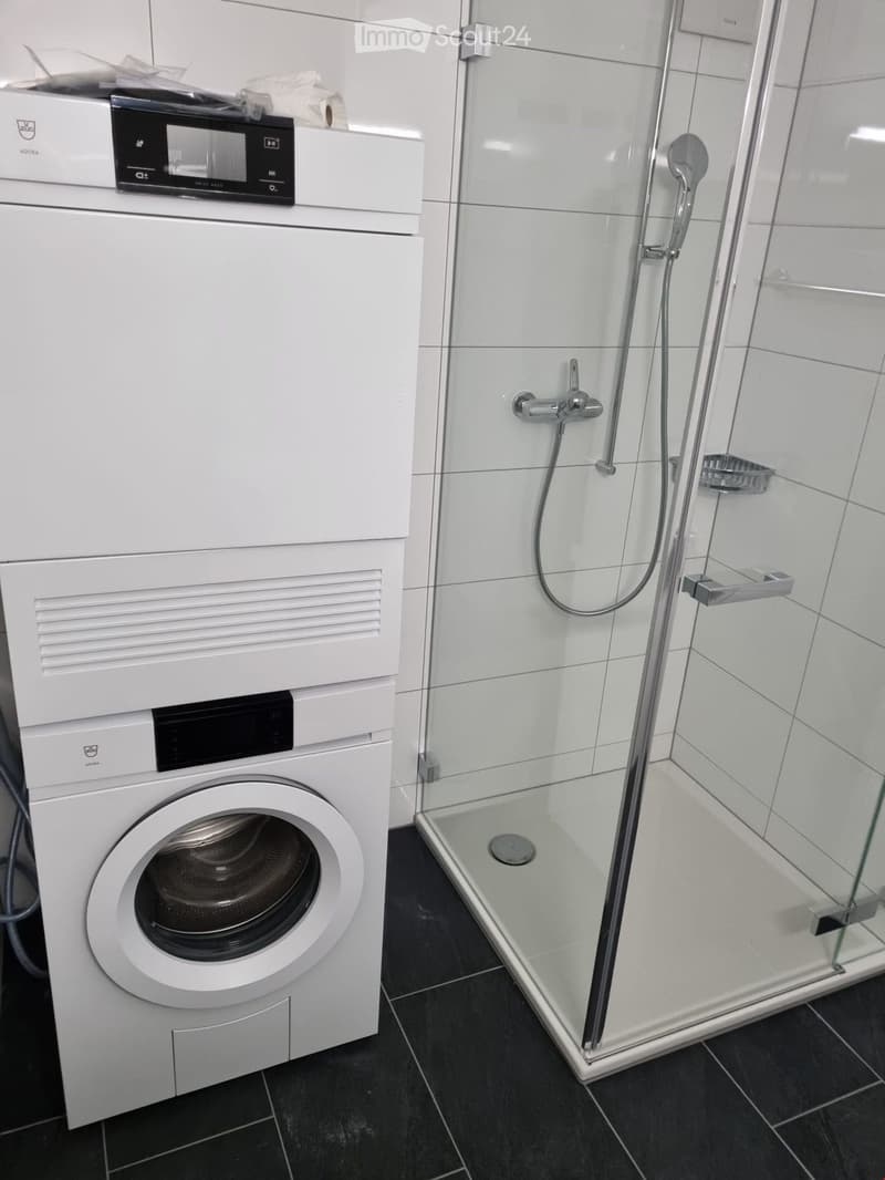 Modern bathroom with a white washing machine and a glass-enclosed shower stall.