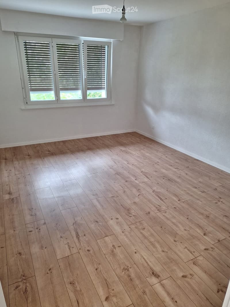 Empty room with light wooden flooring and white walls, featuring a large window with blinds and a single ceiling light fixture.
