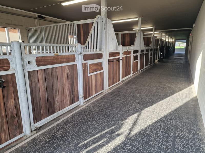 Stable with wooden stalls, metal railings, and a concrete floor.