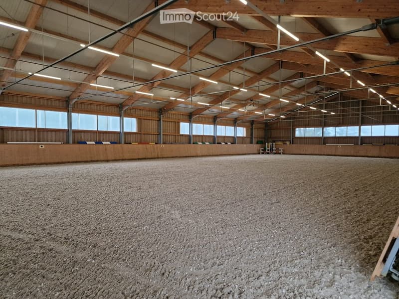 Large indoor riding arena with wooden walls, high ceilings, and a sandy floor. The space is well-lit with natural light from large windows and artificial lighting from overhead fixtures.