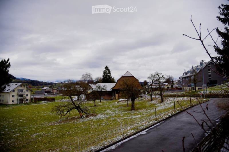 Residential area with houses, trees, and a snow-covered lawn under a cloudy sky.