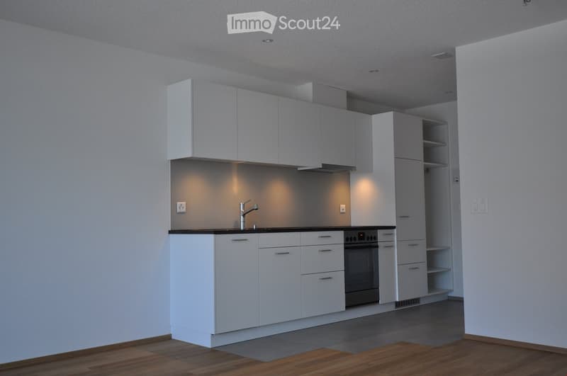 Modern kitchen with white cabinets, a black countertop, a sink with a modern faucet, and an integrated oven. The space features sleek, contemporary design with recessed lighting and wooden flooring.