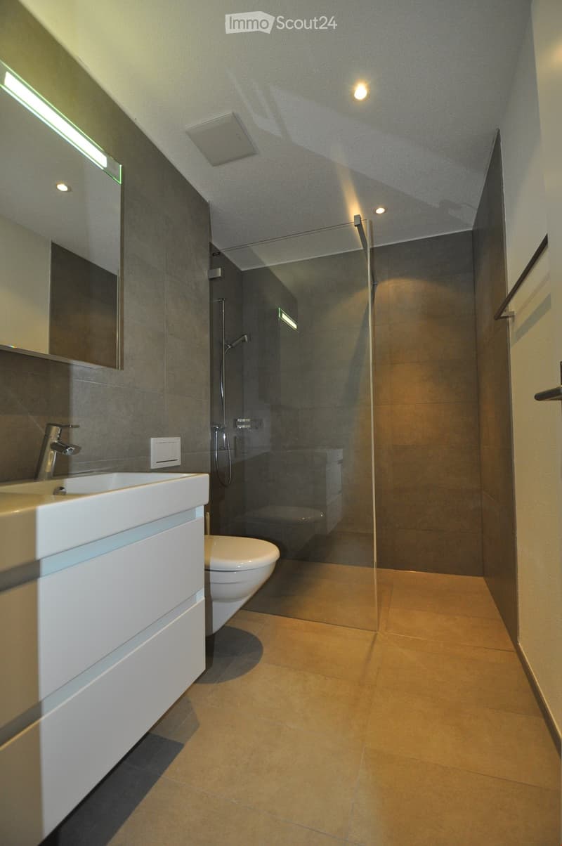 Modern bathroom with a white sink, toilet, and glass-enclosed shower area. Features include a sleek faucet, a large mirror, and warm-toned tiles.