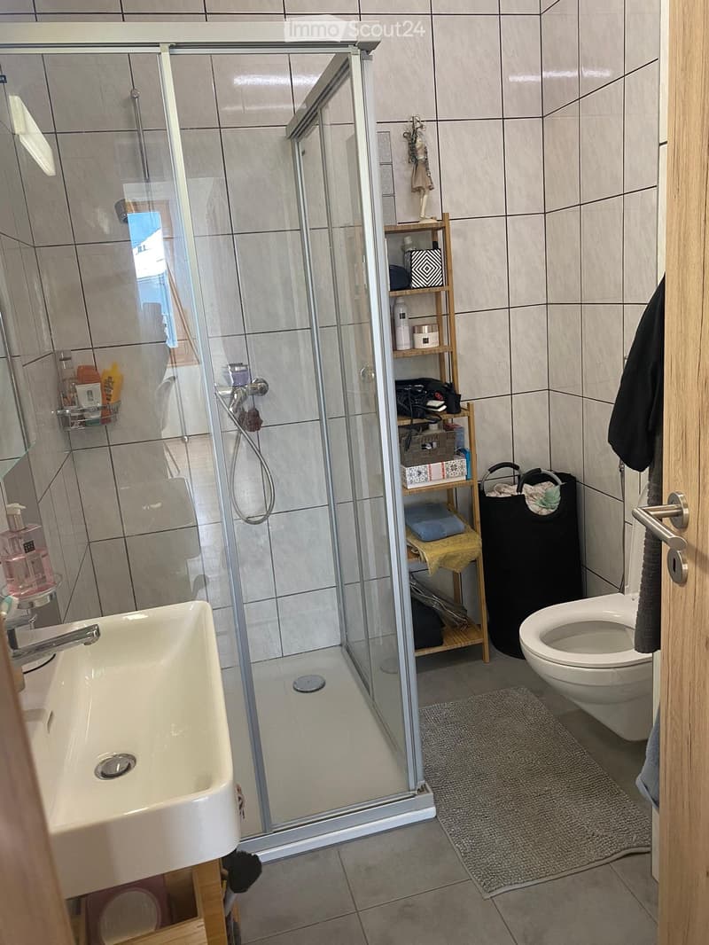 Bathroom with shower, sink, toilet, shelves, and a rug
