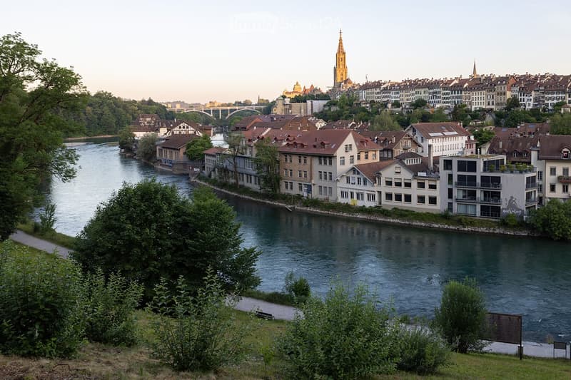 A scenic view of a cityscape with a river running through it, featuring a mix of residential and commercial buildings, trees, and a prominent church spire in the background.