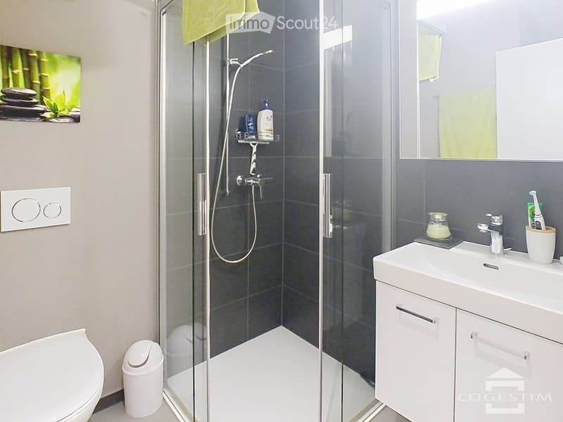 Modern bathroom with a glass-enclosed shower, white toilet, white sink with a mirror, and a small trash bin. The shower has a handheld showerhead and a built-in shelf holding toiletries.