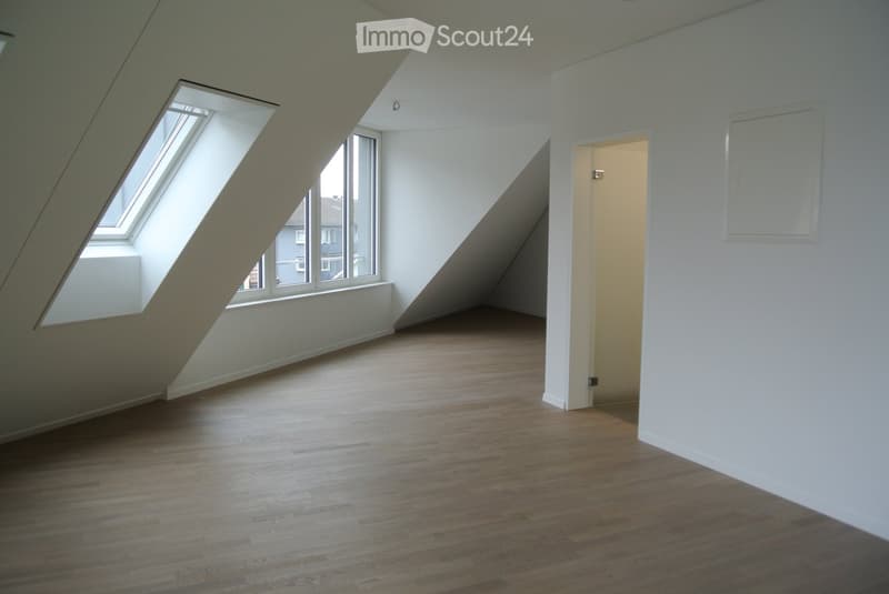 empty attic room with wooden floor, two windows, and door