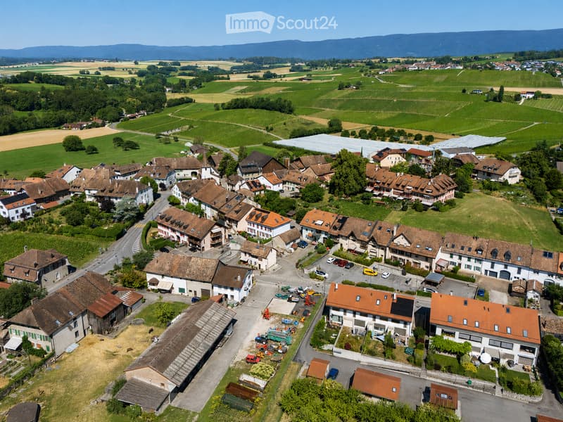 Aerial view of a small village with traditional houses, solar panels, and surrounding vineyards and fields.