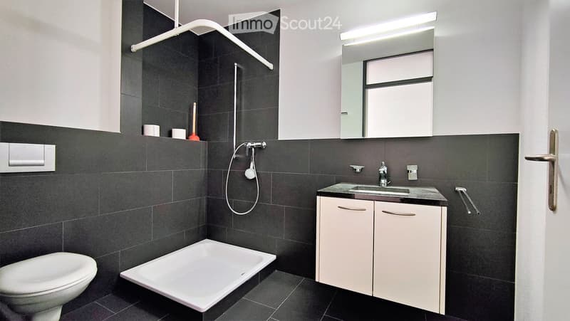Modern bathroom with dark grey tiles, white bathtub, toilet, sink, and mirrored cabinet. Features a shower hose and towel rack.