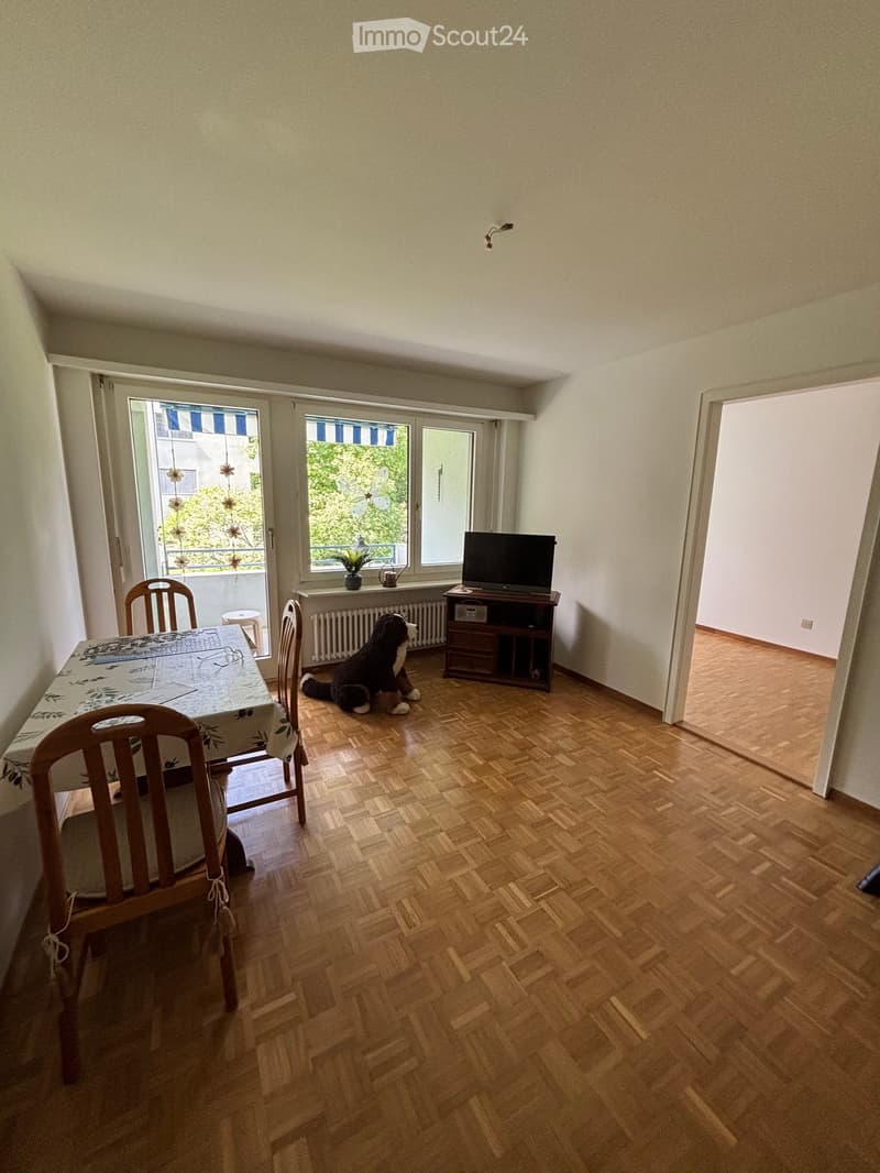 Dining area with wooden herringbone flooring, a table with a floral tablecloth, chairs, a television on a stand, a small stool, a radiator, a potted plant, and a stuffed dog toy.