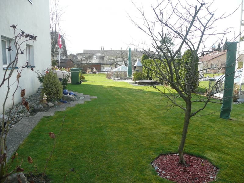 Well-maintained garden with a central lawn, a small tree, decorative rocks, and a small garden shed visible in the background.