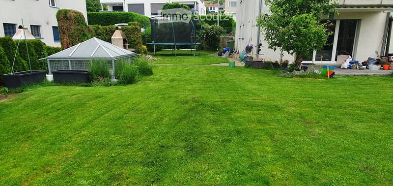 Well-maintained garden with a green lawn, a greenhouse, trampoline, and surrounding hedges.