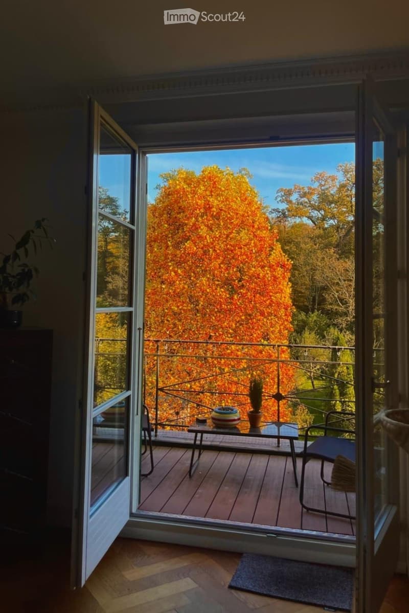 Balcony with wooden decking, glass sliding doors, outdoor table, chairs, and potted plants, overlooking a tree with autumn foliage.