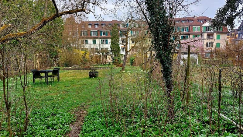 A well-maintained garden with a small seating area, including a table and chairs, surrounded by greenery and trees, with residential buildings in the background.