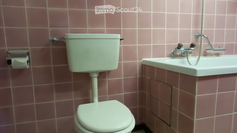 Bathroom with pink tiled walls, a toilet, a sink with a faucet, and a toilet paper holder.
