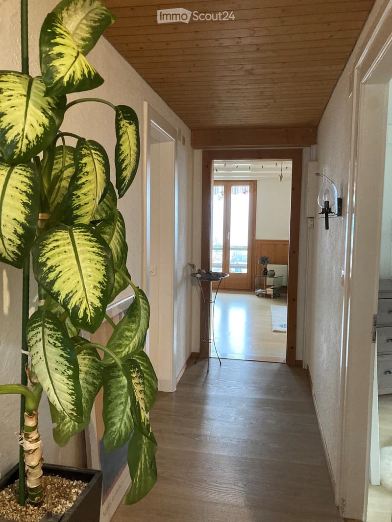 A long, narrow hallway with wooden flooring and white walls, featuring a large leafy plant in a pot on the left side and a small table with items on the right side.
