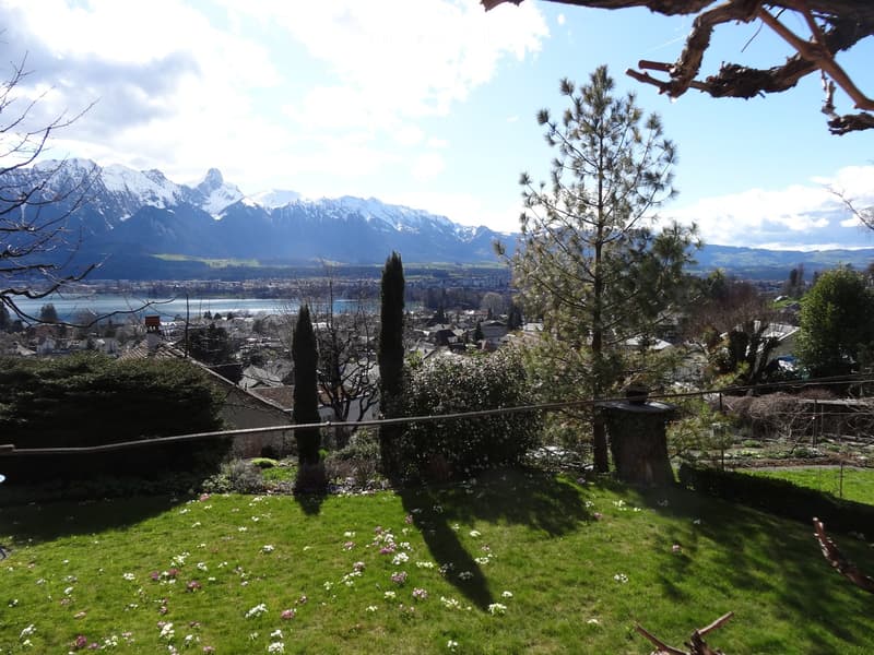Garden with green grass, scattered flowers, trees, and a view of mountains and a lake in the background.
