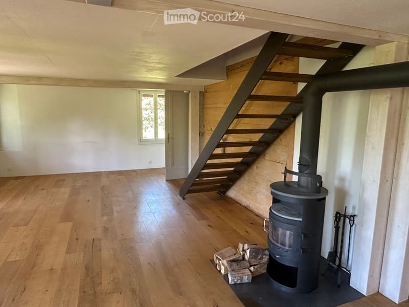 Empty hallway with wooden flooring, a staircase leading upwards, a black wood-burning stove, and a pile of firewood nearby.