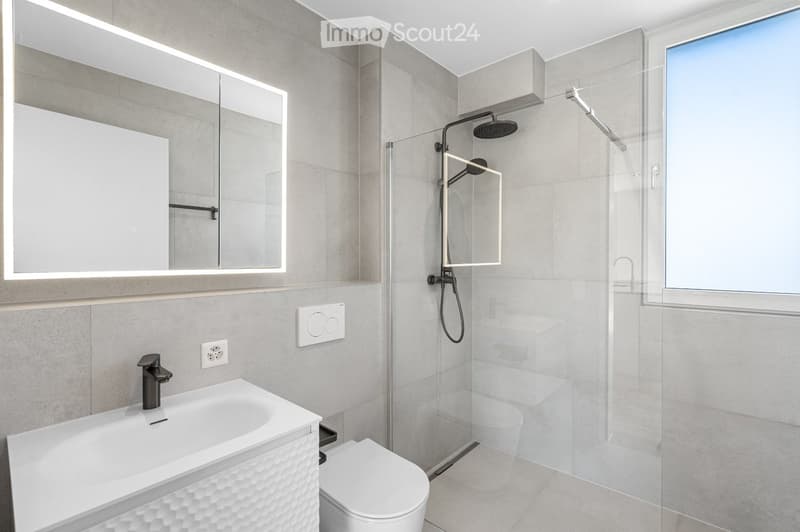 Modern bathroom with a white sink, mirror, toilet, and a glass-enclosed shower with a handheld showerhead. The walls are tiled in a light grey color, and the space is well-lit with natural light from a window.