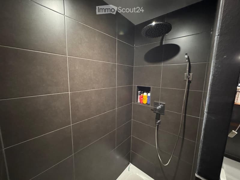 Modern shower area with dark tiled walls, a large overhead showerhead, handheld shower hose, and a small shelf holding shower gel, shampoo, and conditioner bottles.