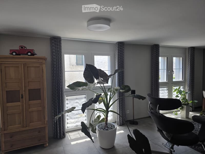 Bright room with large windows, grey walls, a large leafy plant in a white pot, a wooden cabinet, a black office chair, and a red toy truck on top of the cabinet.