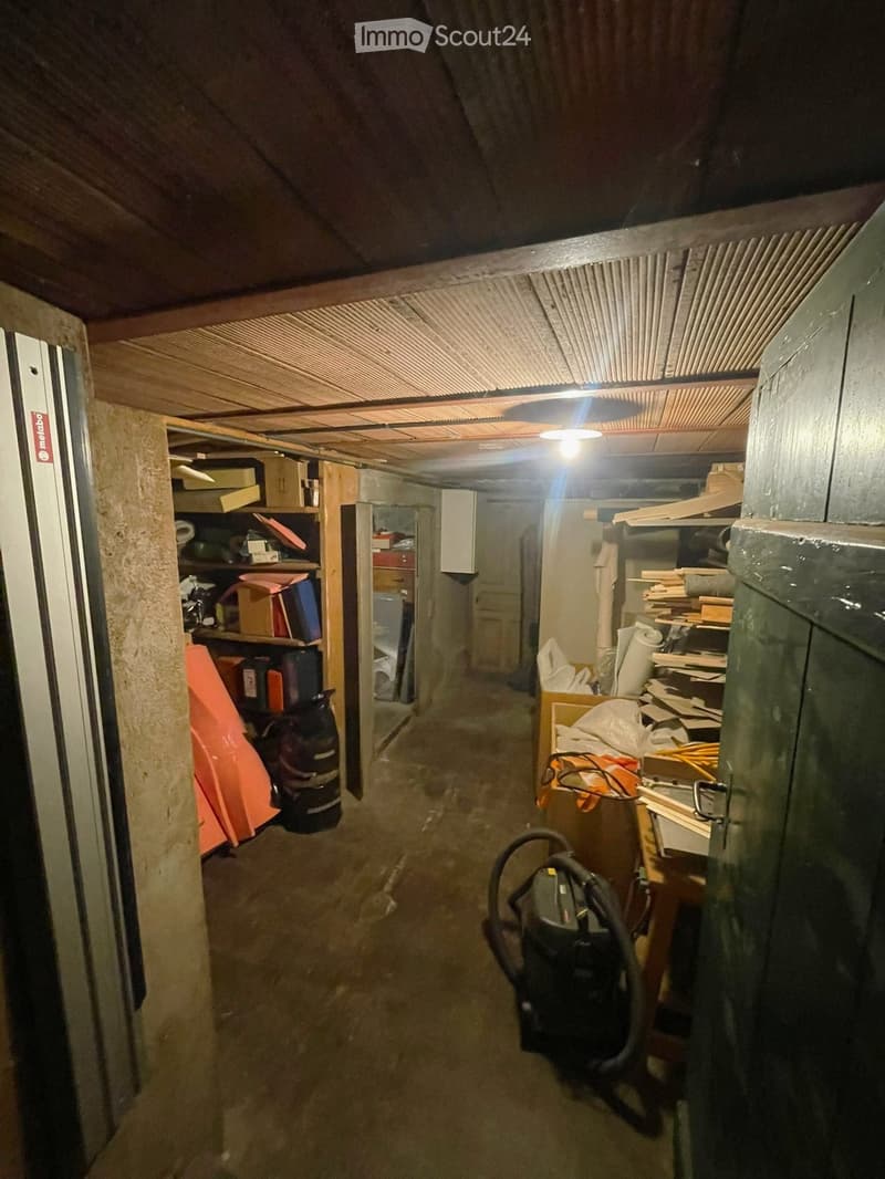 basement room, wooden ceiling, shelves, storage boxes, vacuum cleaner, wooden door