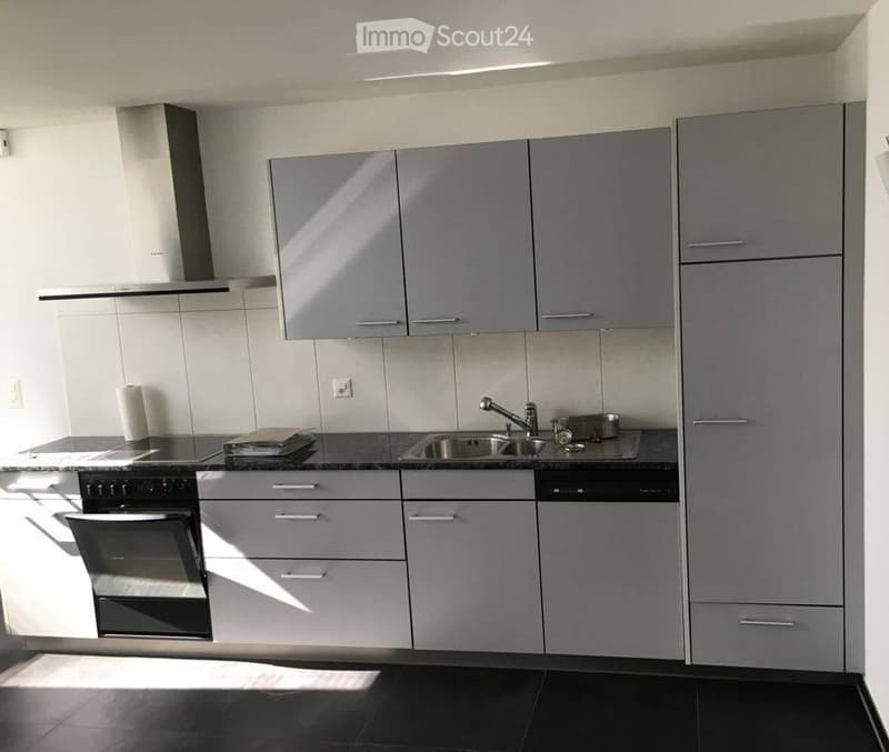 Modern kitchen with grey cabinets, black countertops, stainless steel sink, and built-in oven. Features a range hood and various storage compartments.