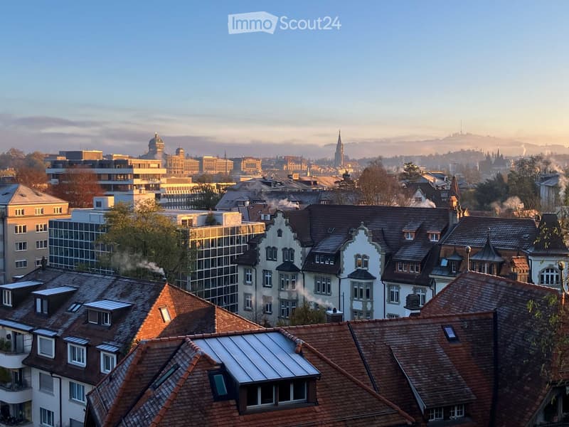 Panoramic view of a cityscape with a mix of modern and historic buildings, featuring red-tiled roofs and chimneys emitting steam, surrounded by trees and distant hills.
