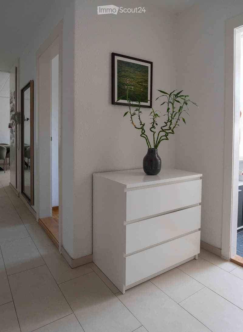 A hallway with a white dresser, a vase with a plant, and a framed picture on the wall. The floor is tiled, and there is a mirror on the left side.