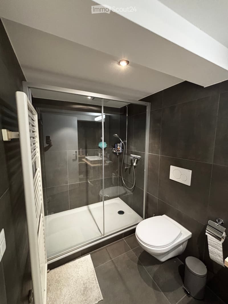 Modern bathroom with a bathtub, toilet, shower, sink, and mirror. Features dark tiled walls and a glass shower enclosure.