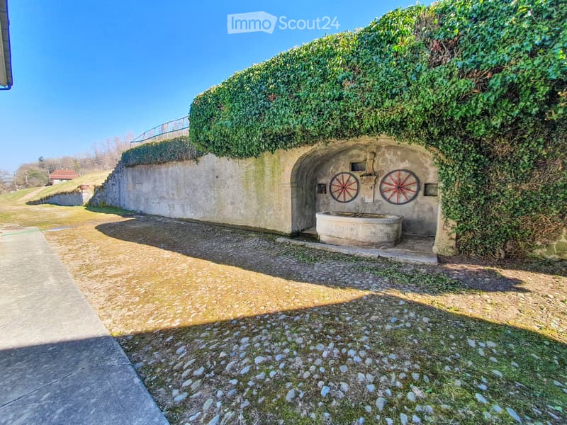 An outdoor area with a stone structure covered in ivy, featuring two large red wheels and a stone basin, surrounded by a grassy area and a paved pathway.