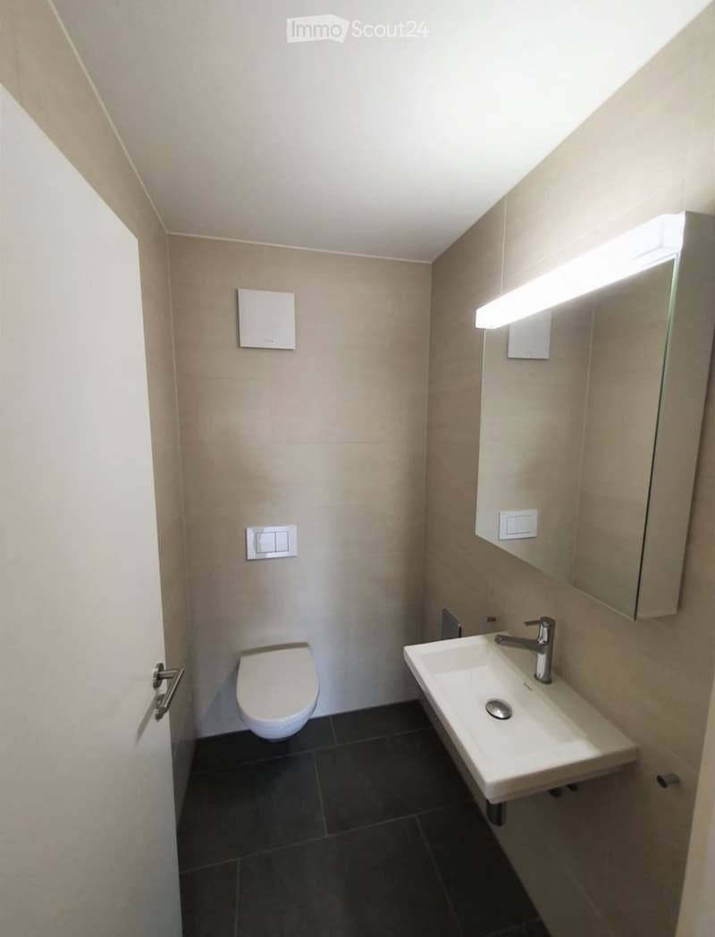 Modern bathroom with a toilet, sink, and mirror. Light-colored walls and dark tiled floor.