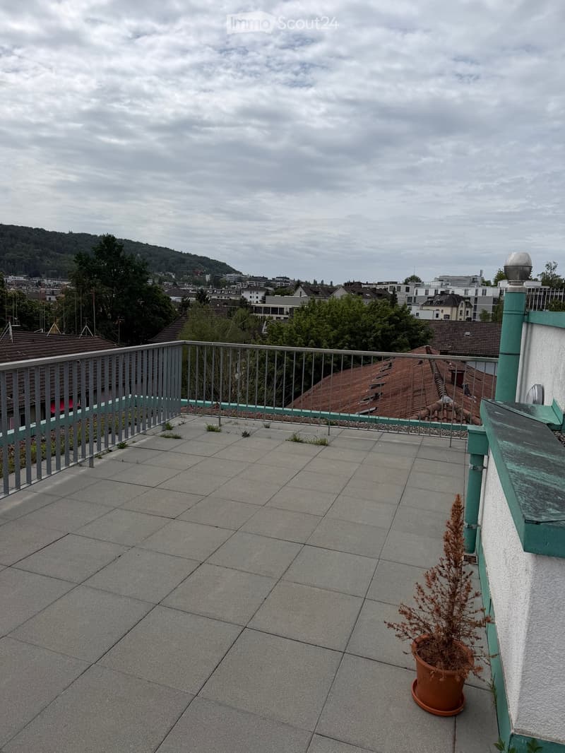 Roof terrace with grey tiled floor, metal railing, and a small potted plant.