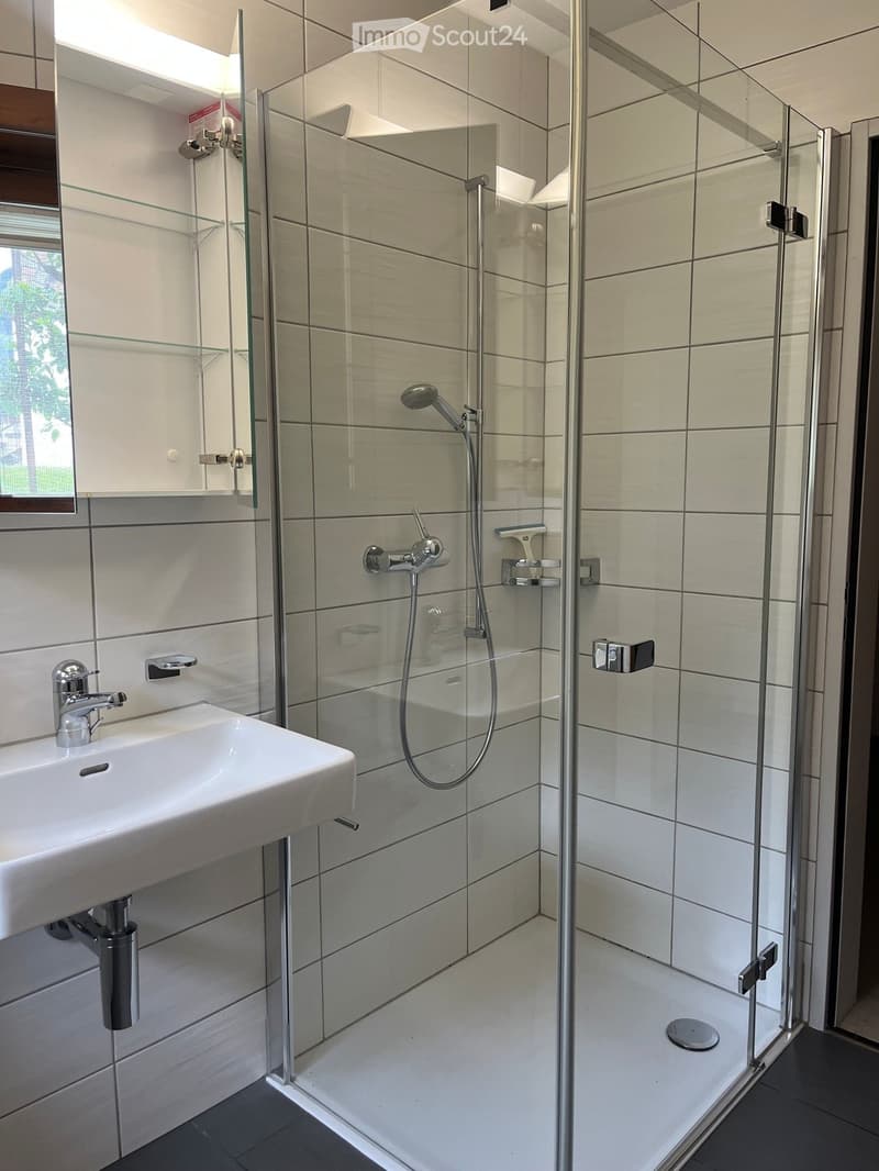 Modern bathroom with a white sink, chrome faucet, glass-enclosed shower, and built-in cabinet with mirror.
