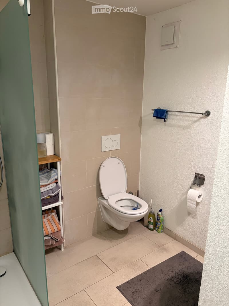 Modern bathroom with beige tiles, white toilet, towel rack, and two bottles on the floor.