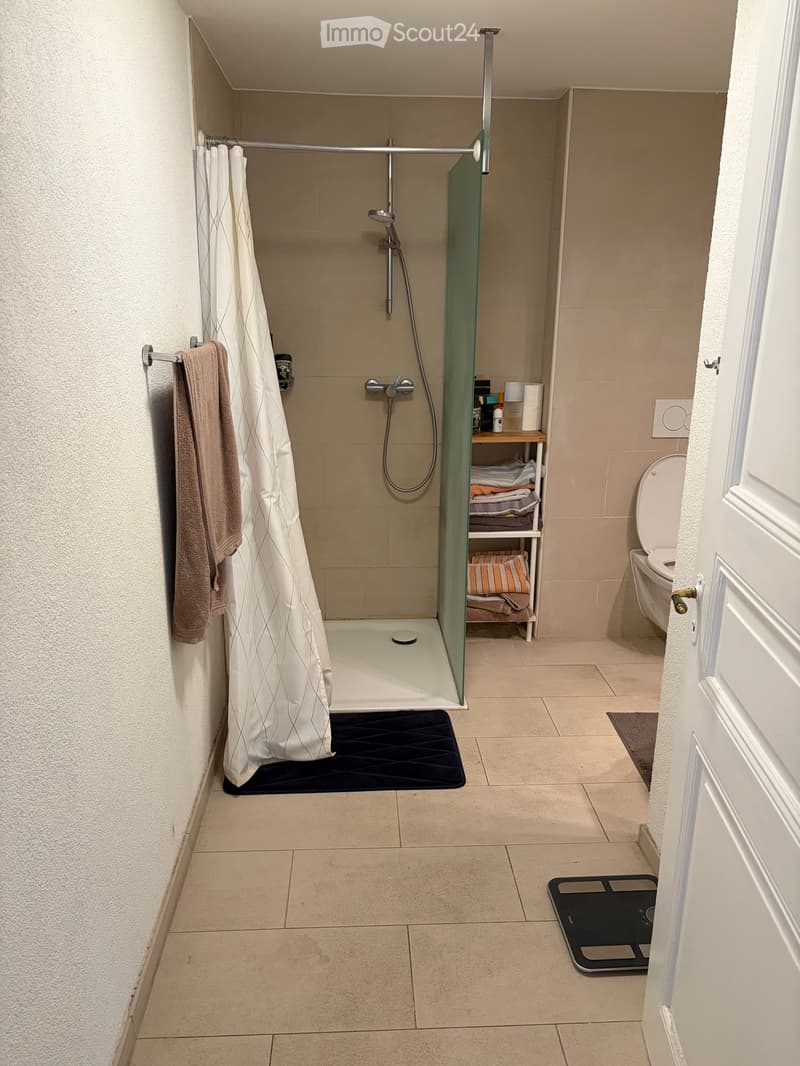Modern bathroom with a walk-in shower, toilet, towel rack, and a small shelf holding towels and toiletries.