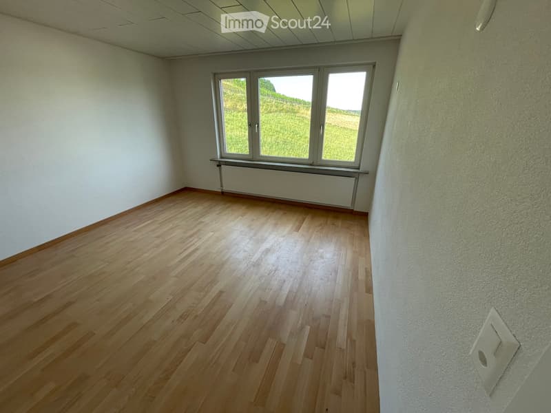 Empty room with wooden flooring, white walls, and large windows overlooking a green field.