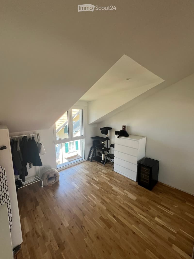 Bright attic room with wooden flooring, large window, cat tree, cat, drawer unit, wine rack, and clothing rack.