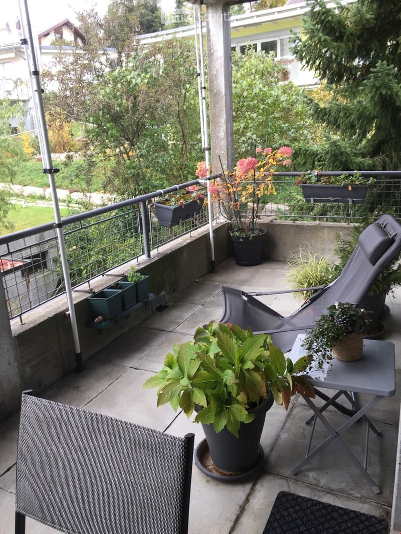 Balcony with a lounge chair, a small table, and several potted plants, including a large leafy plant in a black pot and a smaller plant on the table.